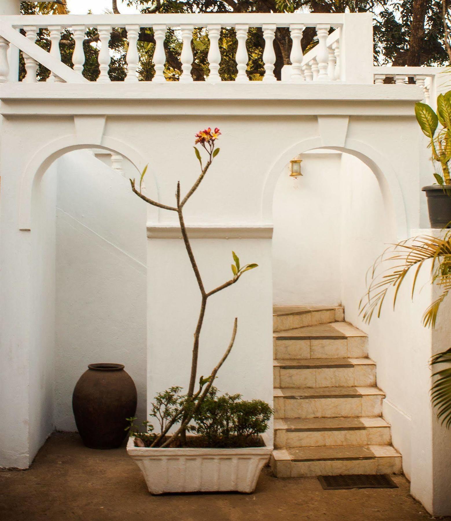 Quarto De Casa Tipri Saligao Eksteriør billede